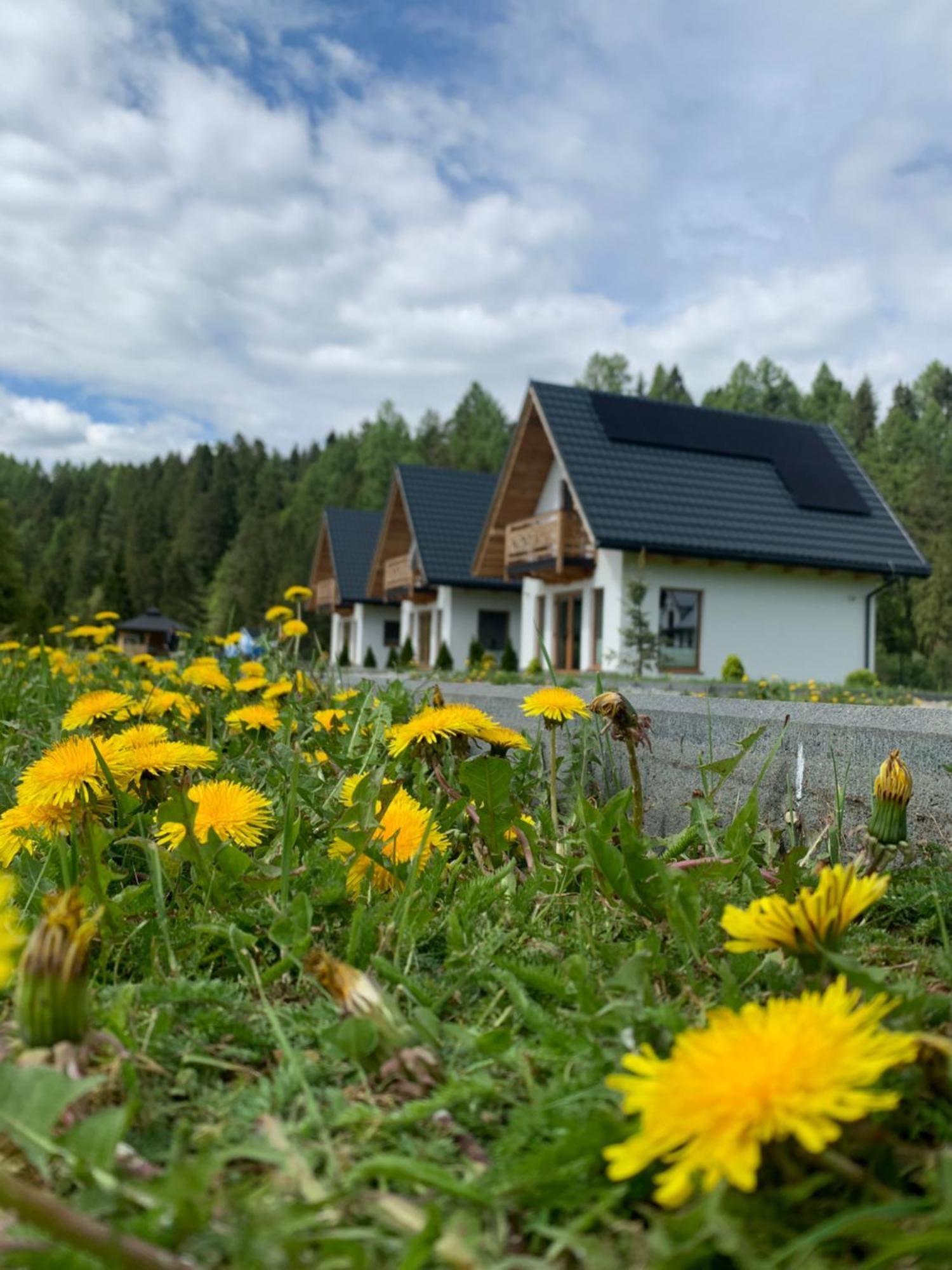 Dobre Miejsce Villa Niedzica Exterior photo